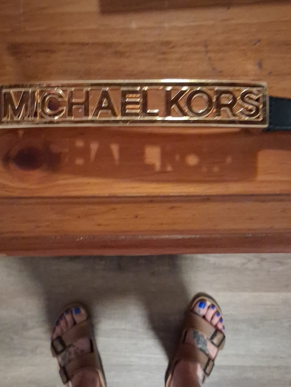Michael Kors Gold Logo Plaque Belt with Black Strap